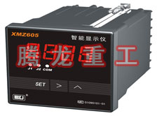 溫度表、數(shù)字顯示儀、濕度表