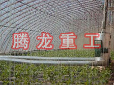 大棚花卉供暖設(shè)備、大棚卉采暖設(shè)備、大棚花卉取暖設(shè)備