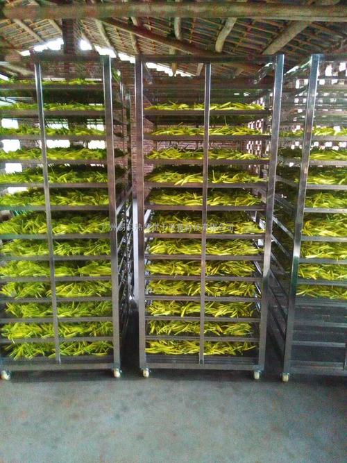 黃花菜烘干機、黃花菜烘干設(shè)備、黃花菜干燥機、黃花菜干燥設(shè)備、